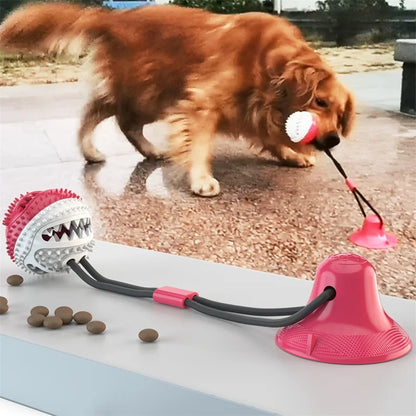 Dog Suction Cup Push Tug Ball Toy