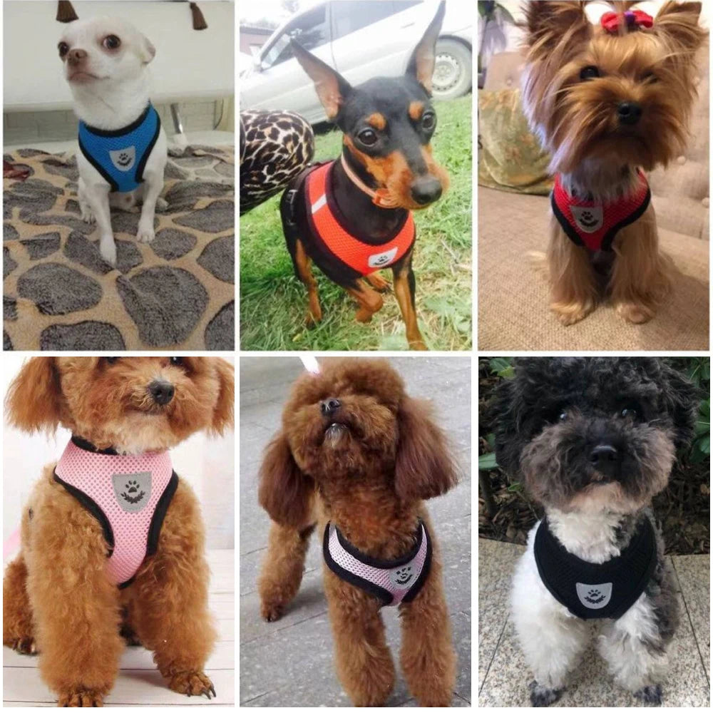 Dog 9 Colors Breathable Harness - Pet Wonderland Cloud