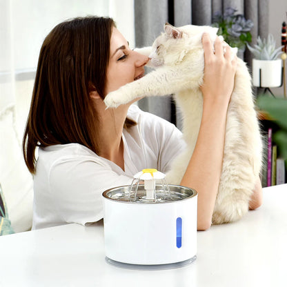 Automatic Cat 2.4L Water Fountain - Pet Wonderland CloudAutomatic Water Fountain