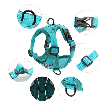 Pet Reflective Harness Leash Set - Pet Wonderland Cloud