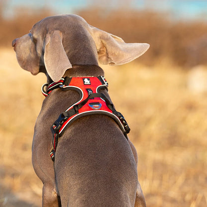 Dog Reflective Nylon Harness - Pet Wonderland Cloud