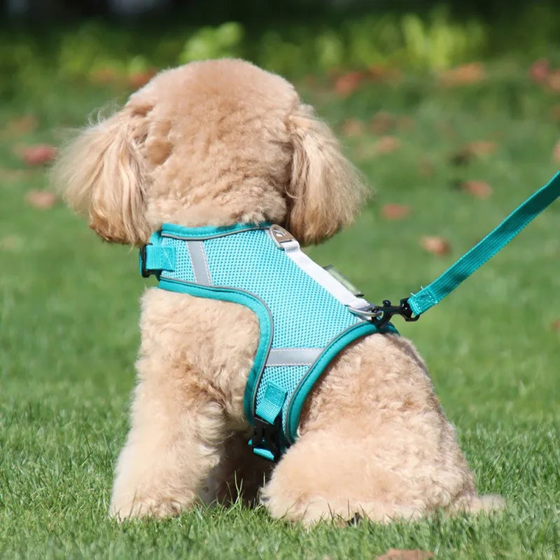 Dog Soft Mesh Harness Leash Set - Pet Wonderland Cloud