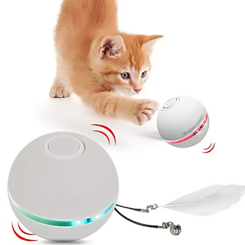 Cat Electric Ball Toy