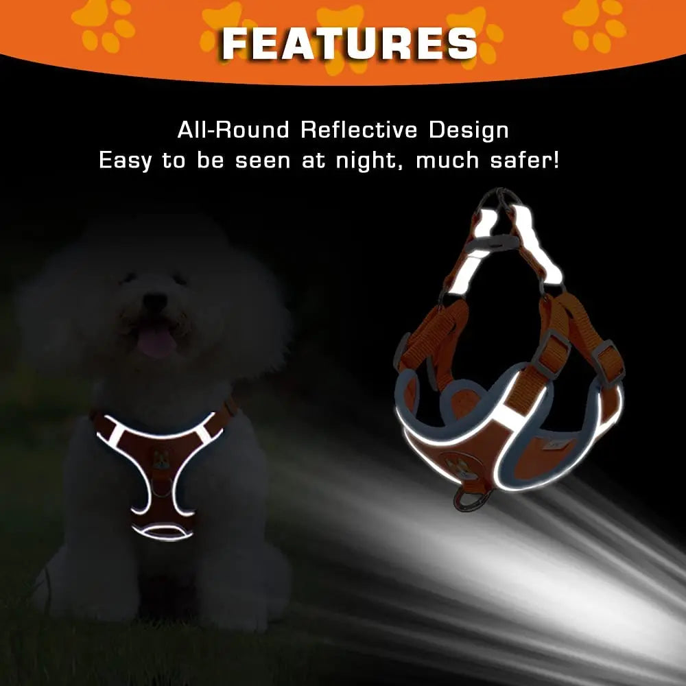 Dog Reflect light harness leash set - Pet Wonderland Cloud