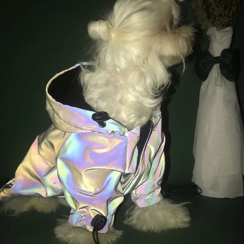 Dog Flashing Windbreaker Hoodie - Pet Wonderland Cloud