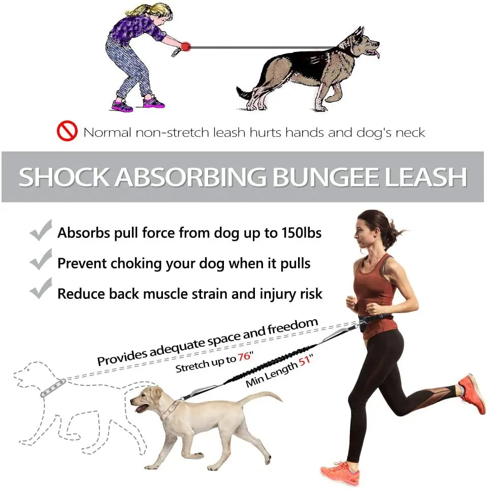 Dog Running Leashes