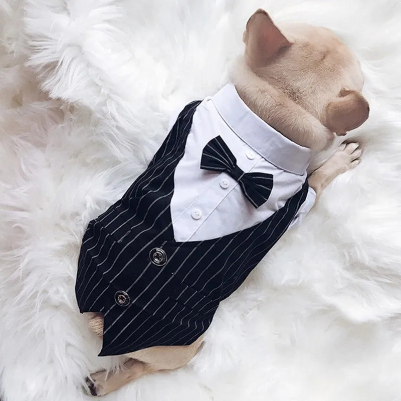 Dog Bow Tie Wedding Shirt - Pet Wonderland Cloud