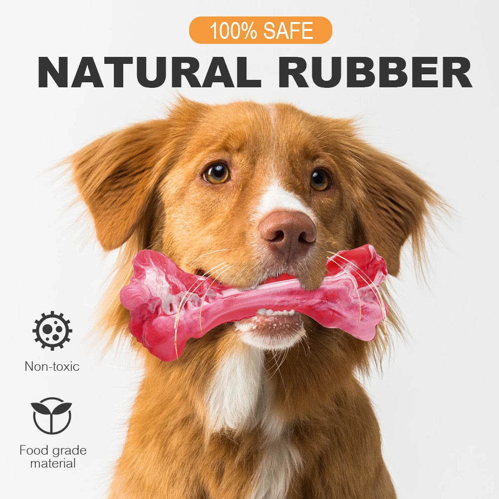 Rubber Dog Chew Toy