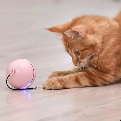 Cat Electric Ball Toy