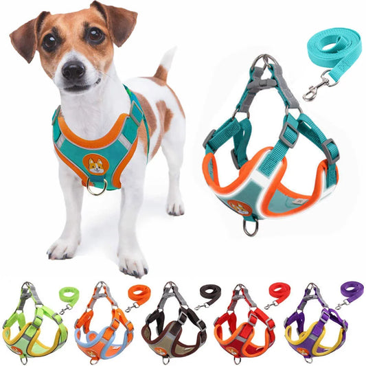 Dog Reflect light harness leash set - Pet Wonderland Cloud