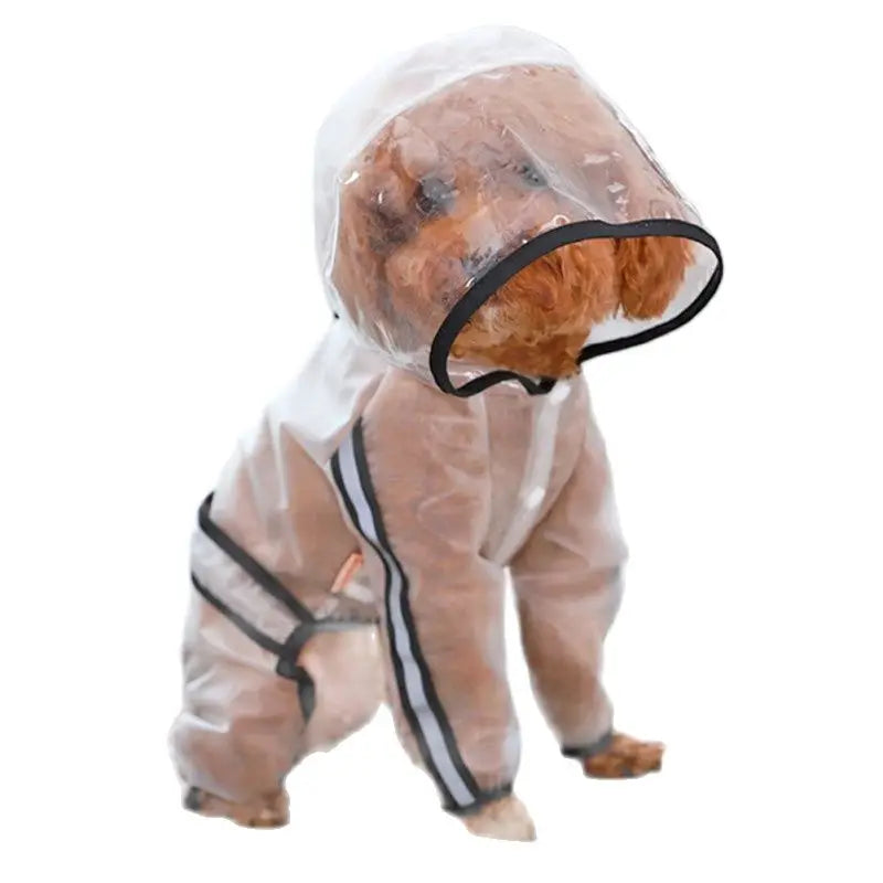 Dog Transparent Raincoat - Pet Wonderland Cloud