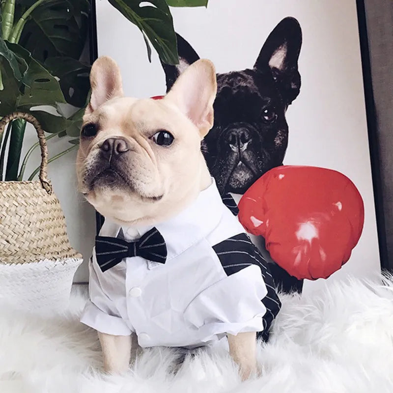 Dog Bow Tie Wedding Shirt - Pet Wonderland Cloud