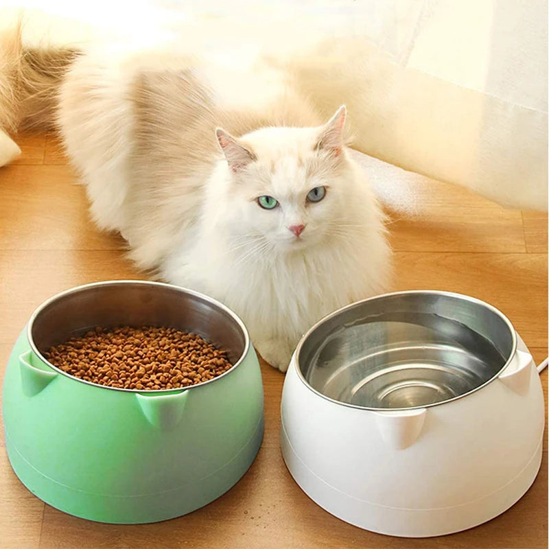 Pet Feeding Bowl