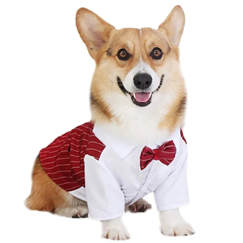 Dog Bow Tie Wedding Shirt - Pet Wonderland Cloud