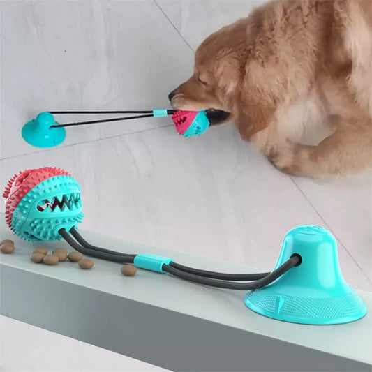 Dog Suction Cup Push Tug Ball Toy