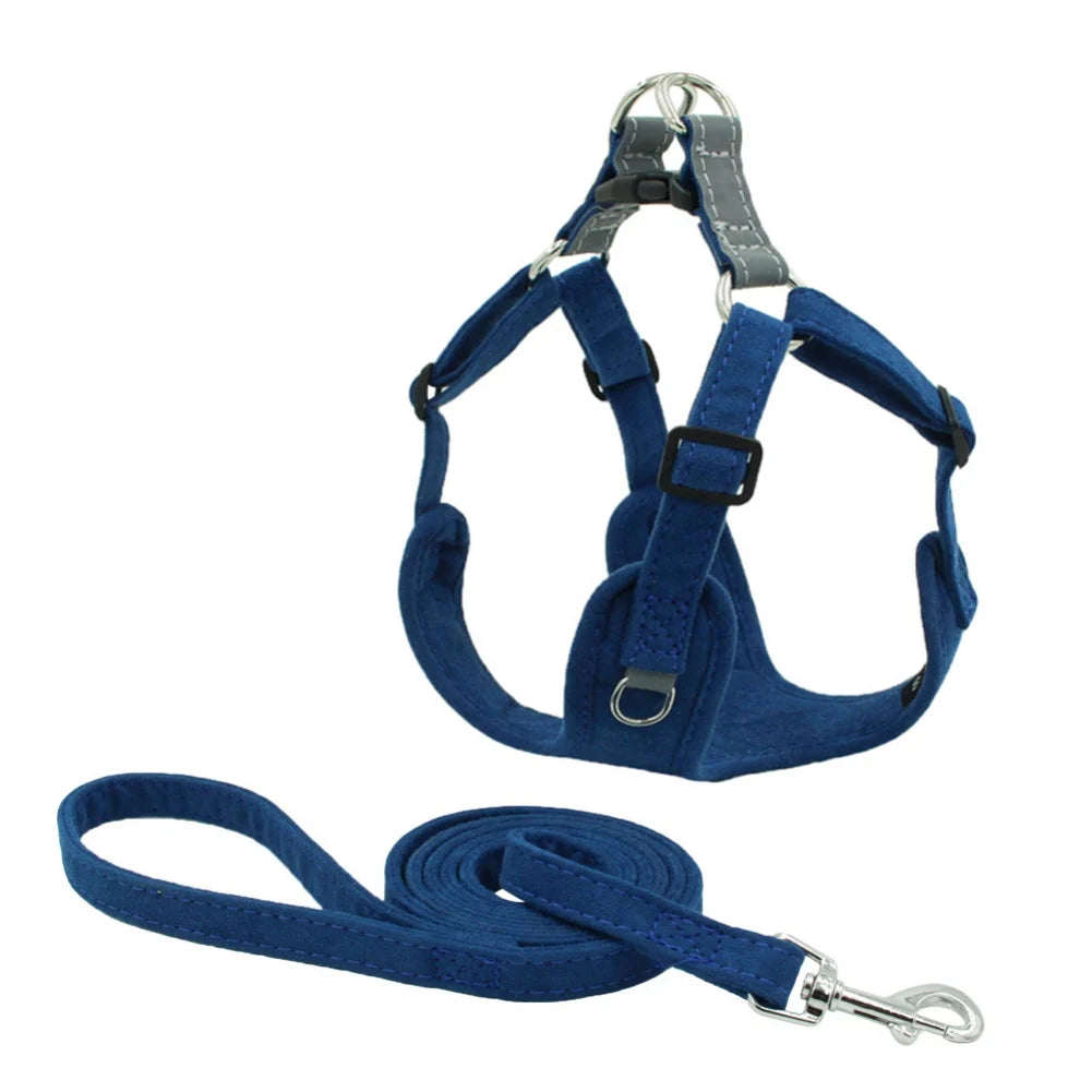 Dog No Pull Harness Leash Set - Pet Wonderland Cloud