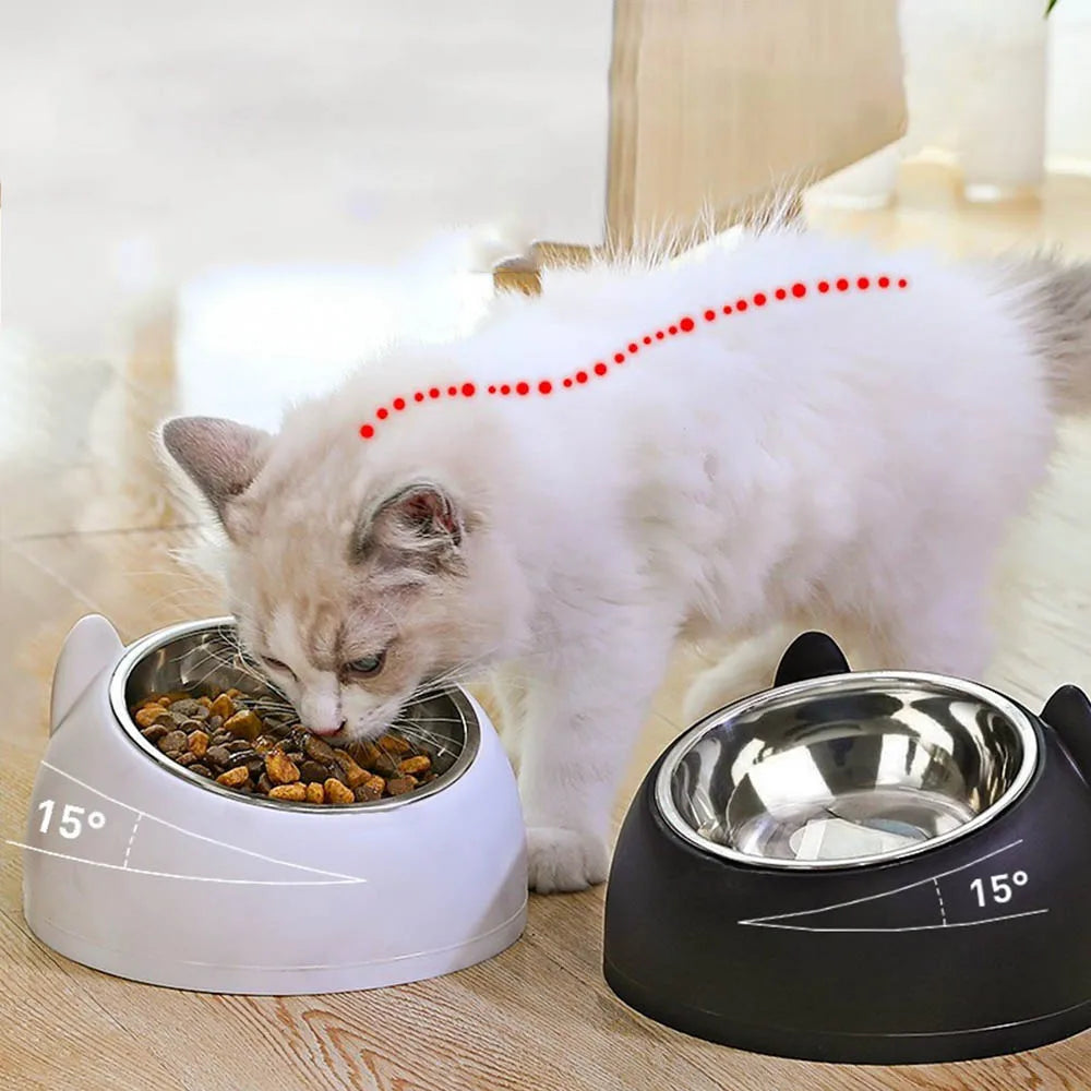 Pet Feeding Bowl