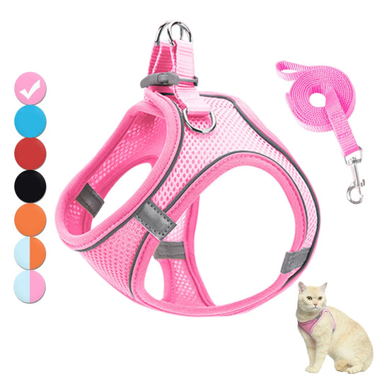 Pet Cat harness 