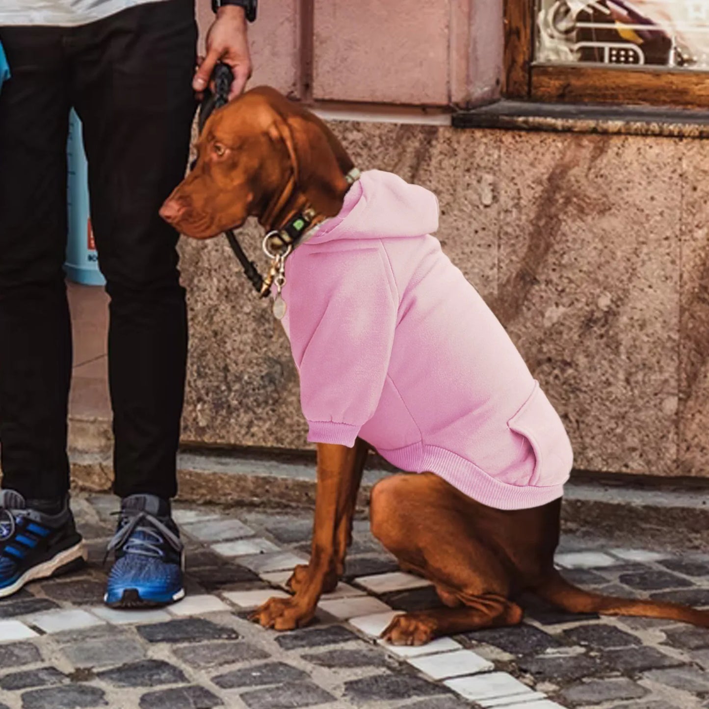 Dog Winter Hoodie - Pet Wonderland Cloud