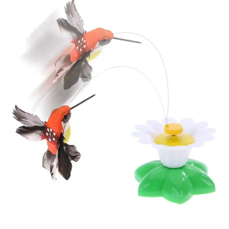 Hummingbird Teaser Toy