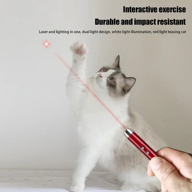 Cat Laser Toy 