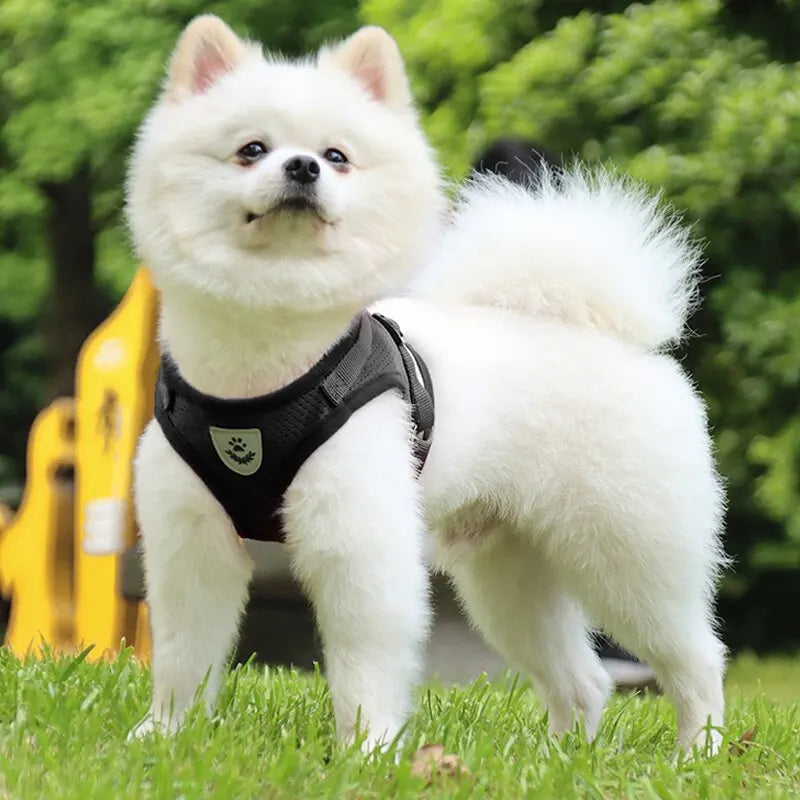 Reflective Dog Chest Strap Harness - Pet Wonderland Cloud