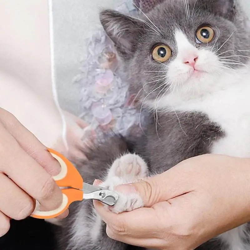 Stainless Steel Nail Grooming Scissor - Pet Wonderland Cloud