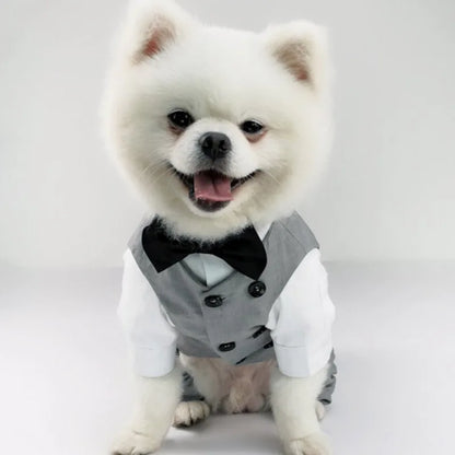 Dog Tuxedo Suit - Pet Wonderland Cloud