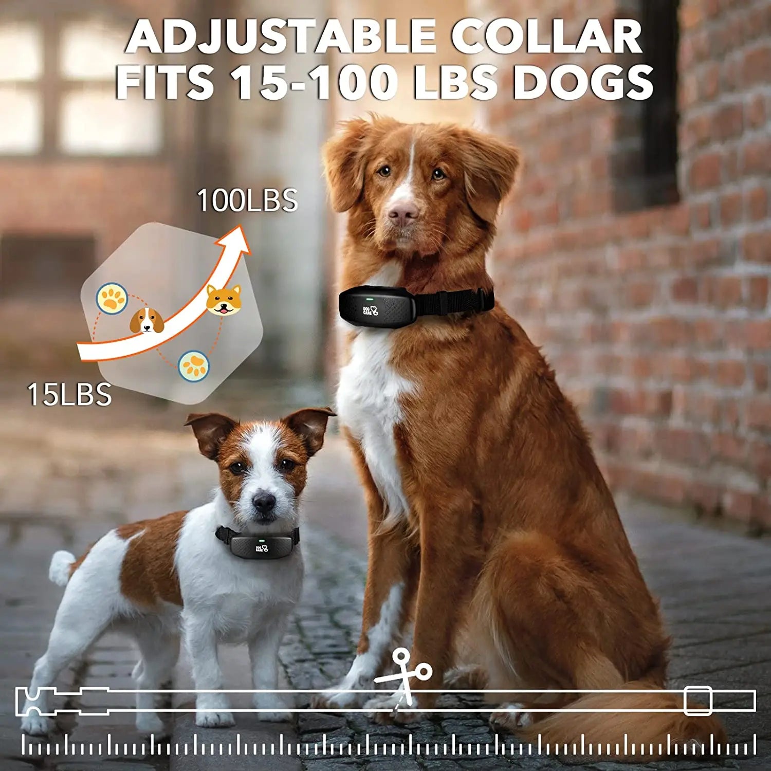 Digital Dog Training Collar