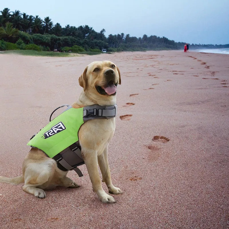 Dog Swimwear Jacket - Pet Wonderland Cloud