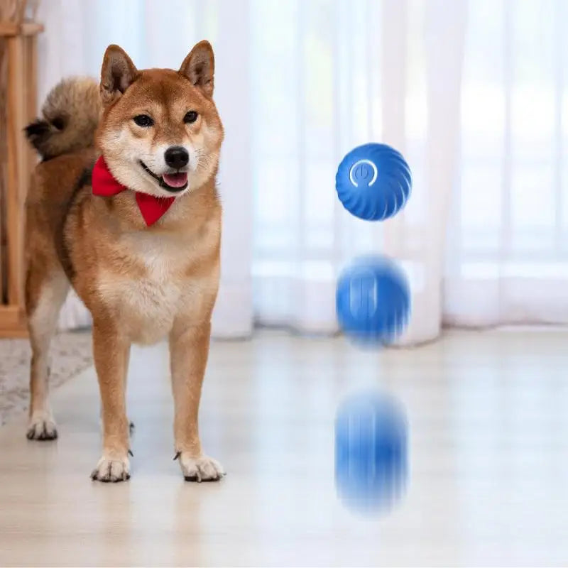 Dog Moving Gravity Jumping Ball Toy