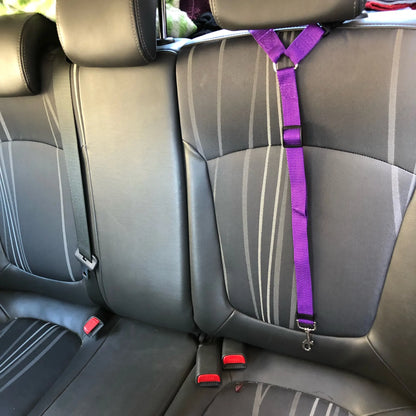 Dog Car Seat Safety Belt - Pet Wonderland Cloud