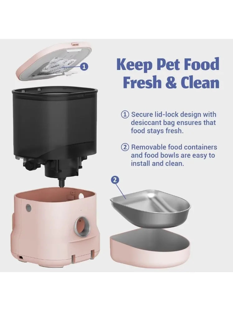 New Cat Automatic Food Dispenser - Pet Wonderland Cloud