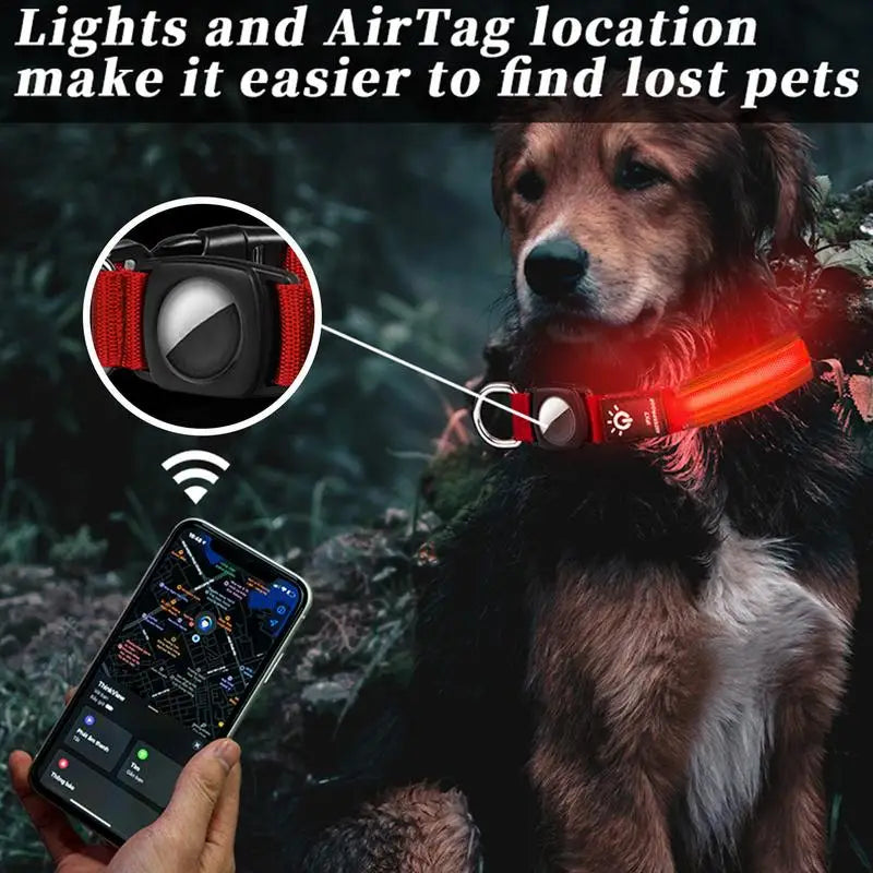 Dog LED Glowing Collar - Pet Wonderland Cloud