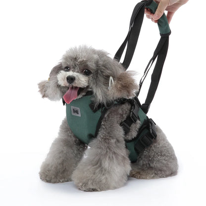 Dog Walk Joint Injuries Strap - Pet Wonderland Cloud