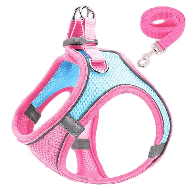 Pet Cat harness 