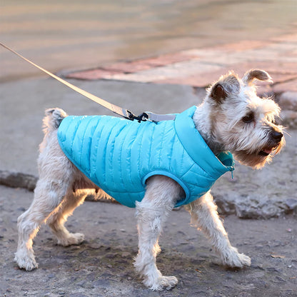 Winter Warm Dog Waterproof Jacket - Pet Wonderland Cloud