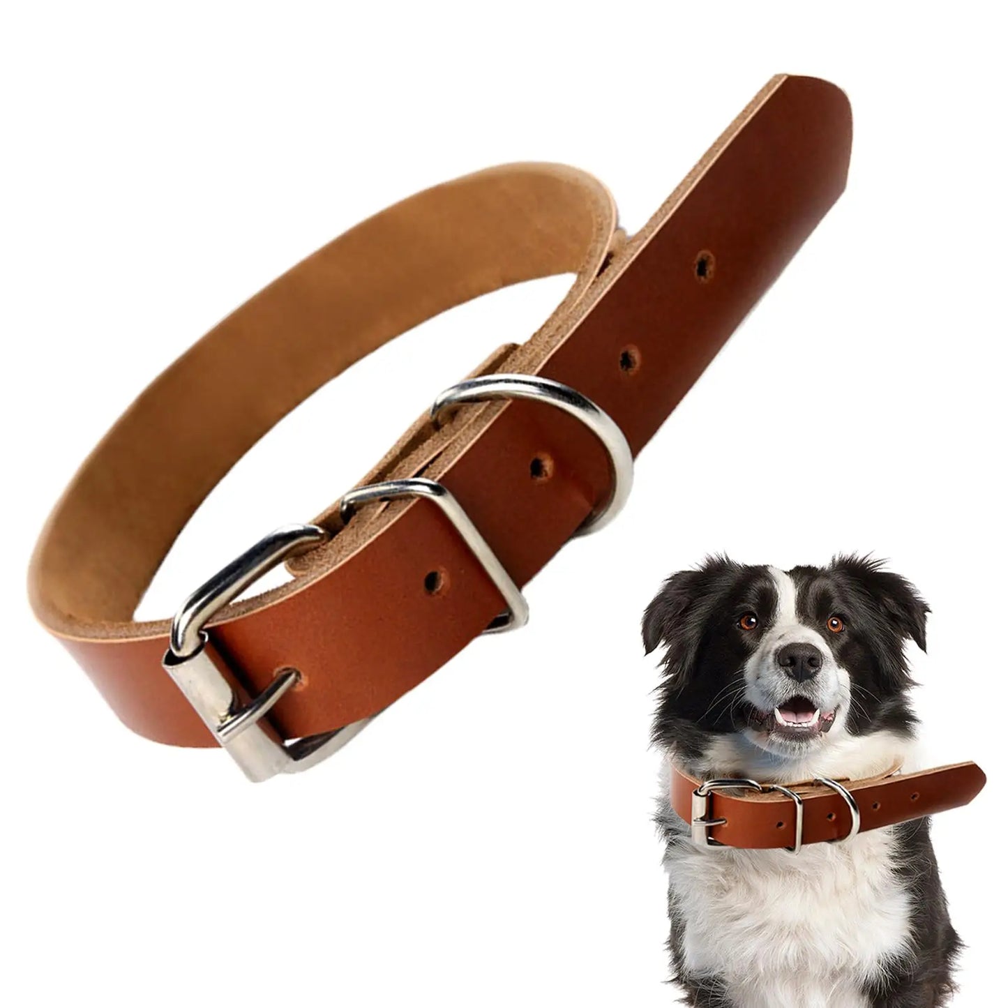 Dog Metal Buckle Leather Collar - Pet Wonderland Cloud