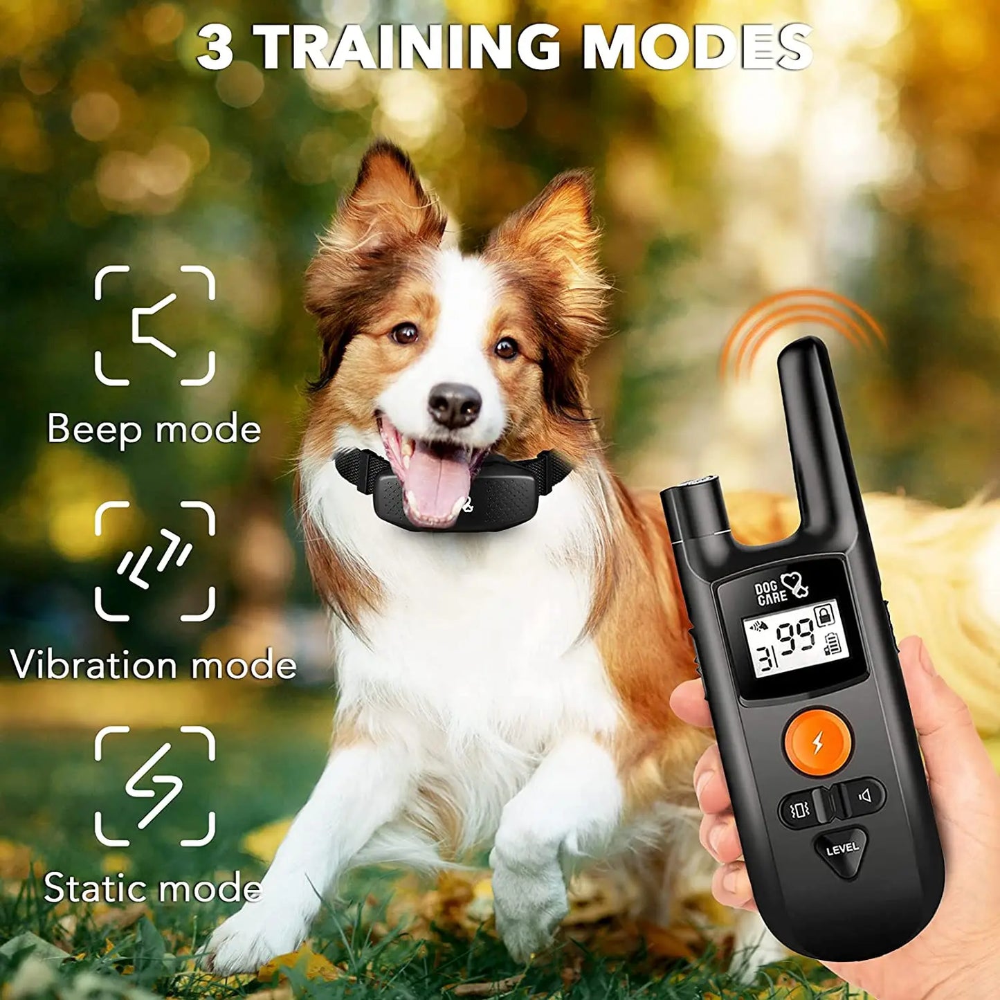 Digital Dog Training Collar