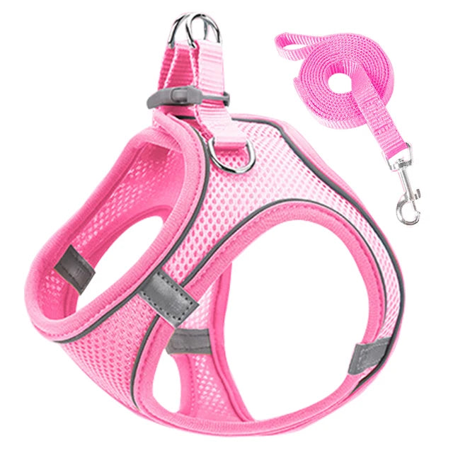 Pet Cat harness 