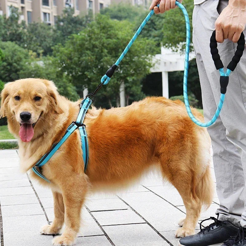 Dog Reflective Strong Nylon Leash - Pet Wonderland Cloud