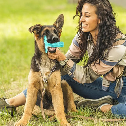 Dog Toothbrush Chew Toy