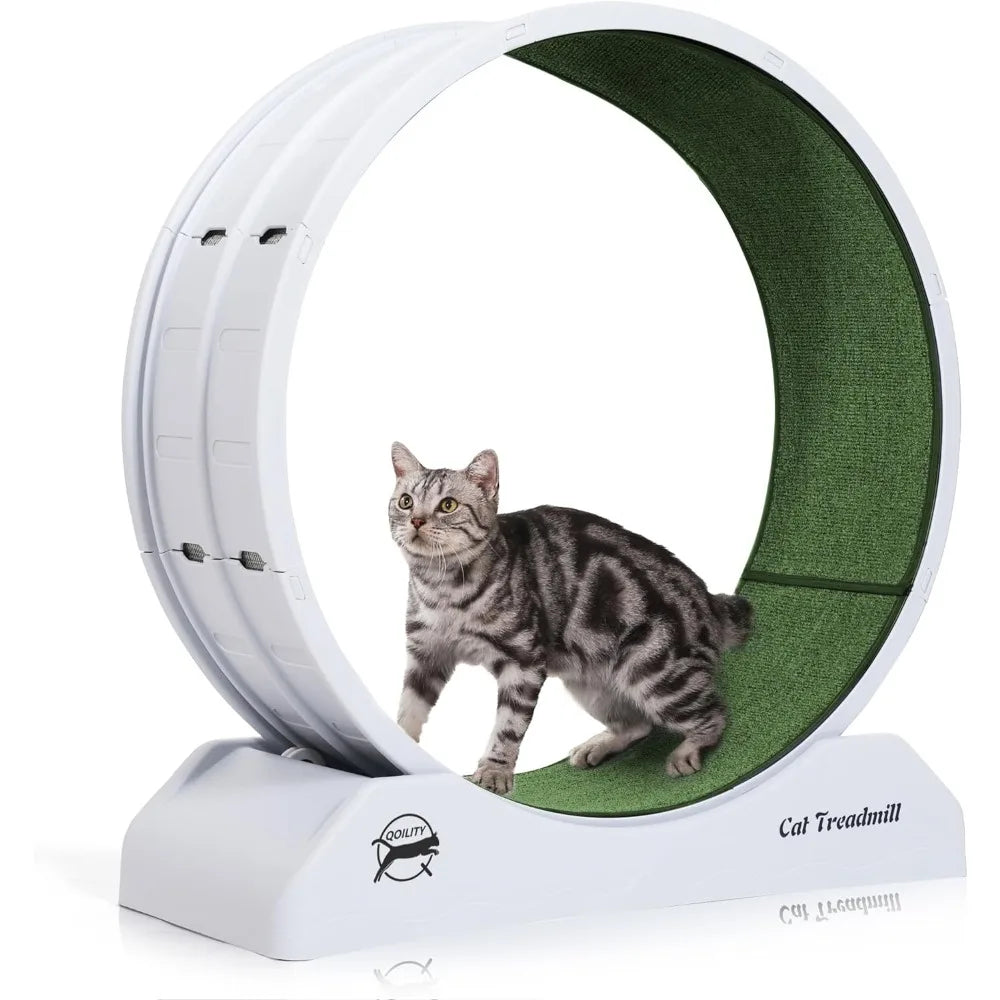 Cat Wheel Exerciser Toy