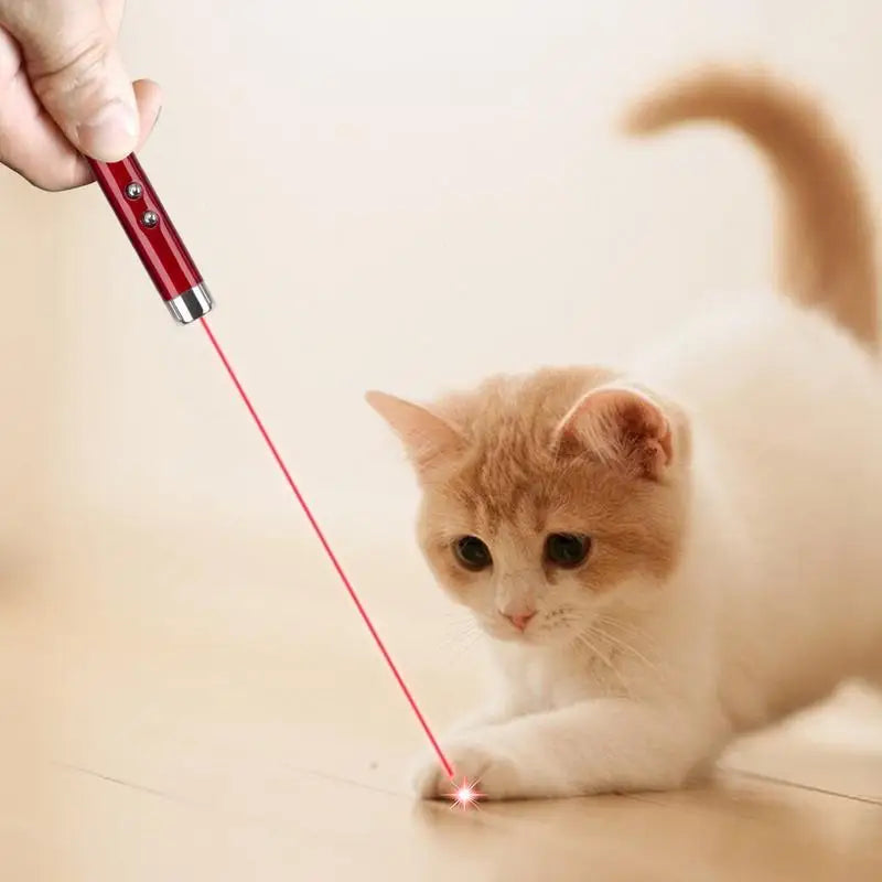 Cat Laser Toy 