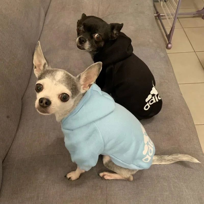 Winter Dog Fleece Hoodies - Pet Wonderland Cloud