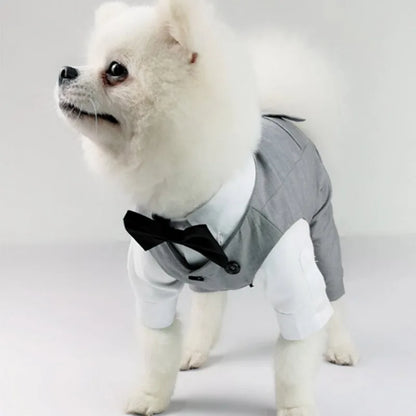 Dog Tuxedo Suit - Pet Wonderland Cloud