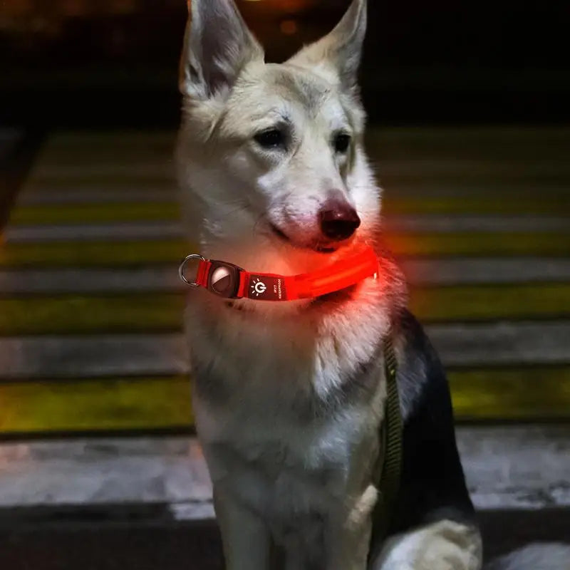 Dog LED Glowing Collar - Pet Wonderland Cloud