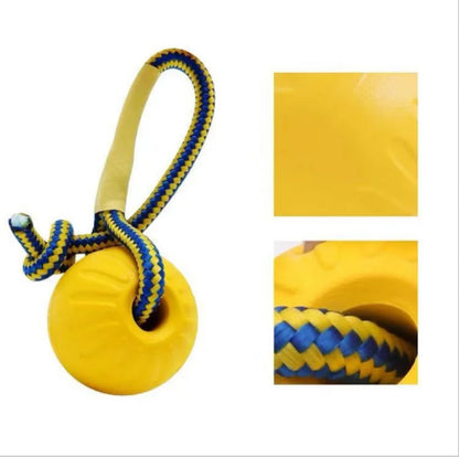 Dog Training Chew Toy