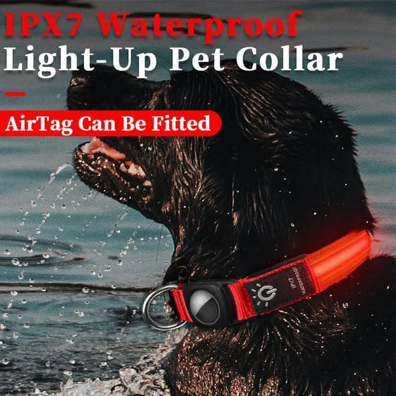 Dog LED Glowing Collar - Pet Wonderland Cloud