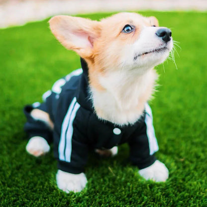 Dog Outfit Jumpsuit - Pet Wonderland Cloud